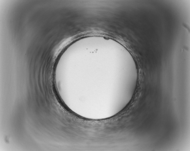 X0000101680007200807311529