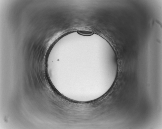 X0000101680008200807311529