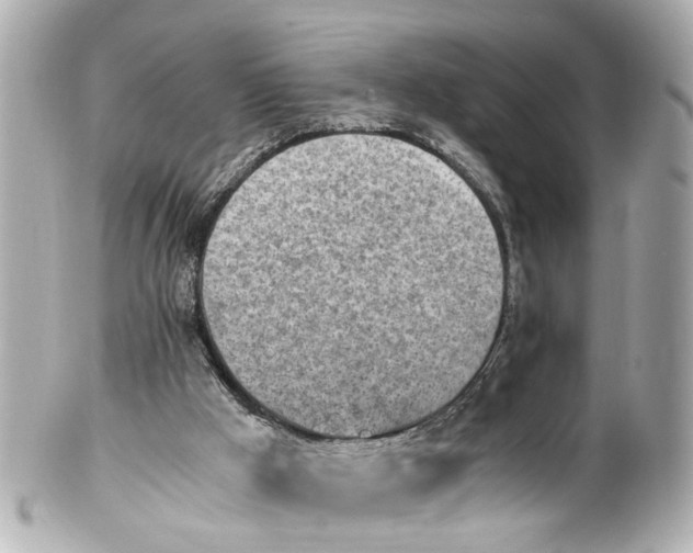 X0000101680009200807311529