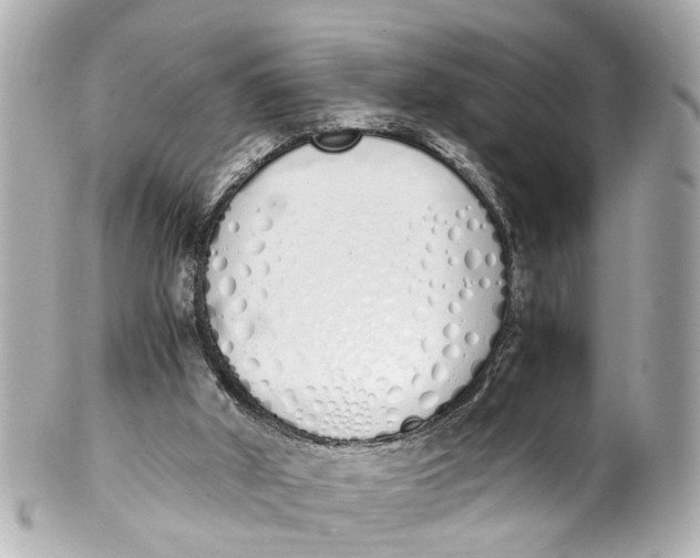 X0000101680010200807311529