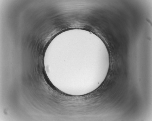 X0000101680011200807311529