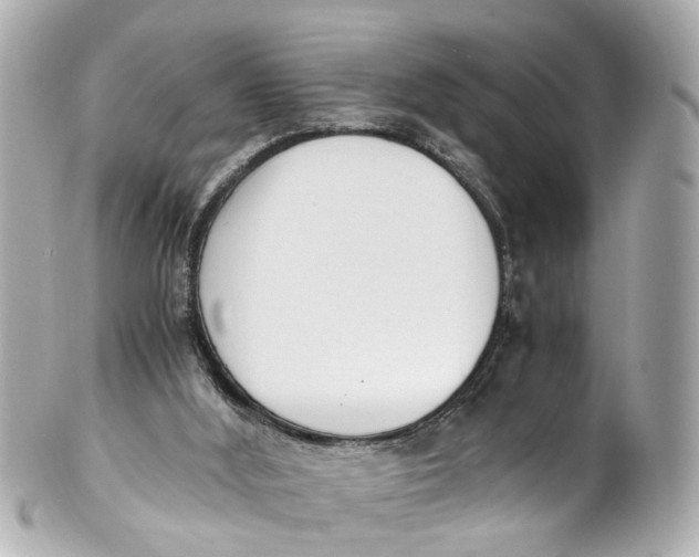 X0000101680012200807311529