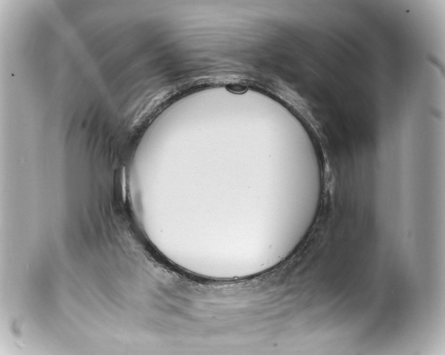 X0000101680013200807311529