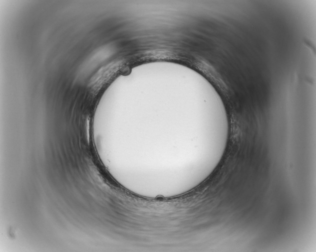 X0000101680014200807311529