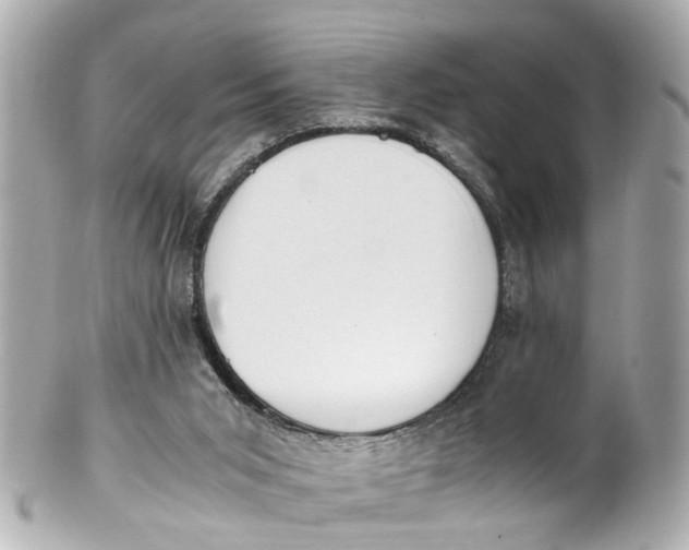 X0000101680015200807311529