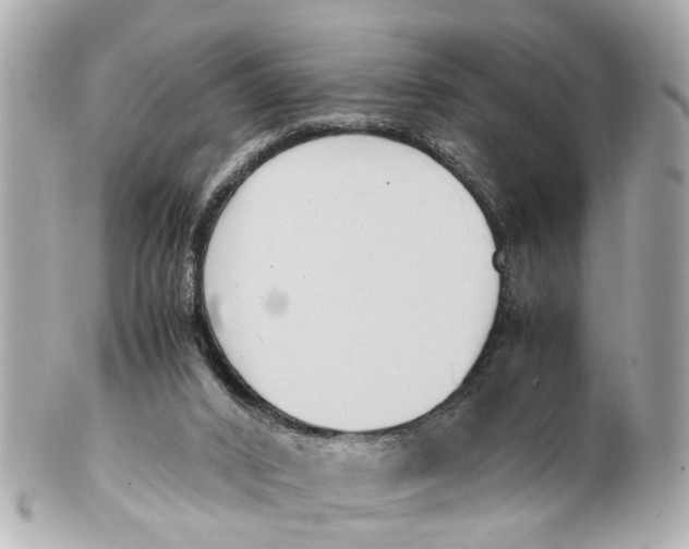 X0000101680016200807311529