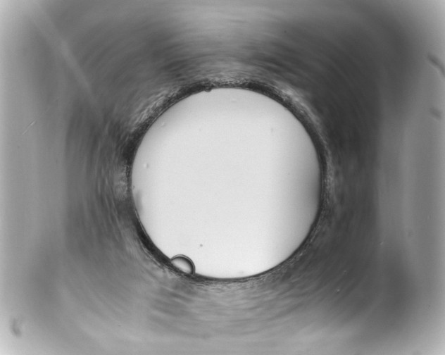 X0000101680017200807311529