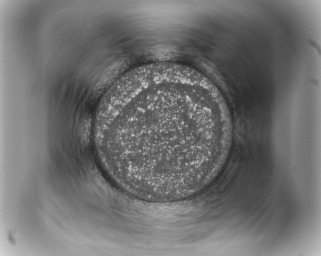 X0000101680018200807311529