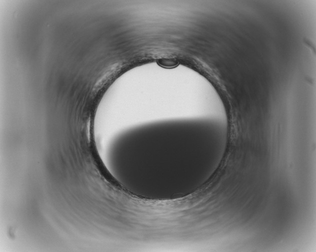 X0000101680019200807311529