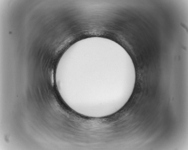 X0000101680020200807311529