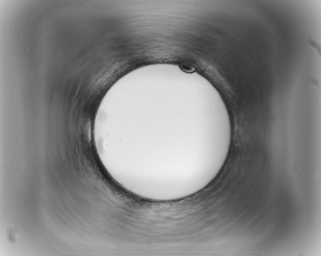 X0000101680021200807311529