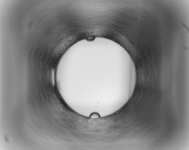 X0000101680022200807311529