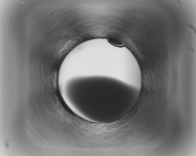 X0000101680023200807311529