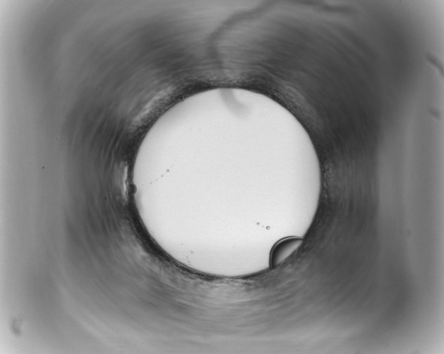 X0000101680024200807311529