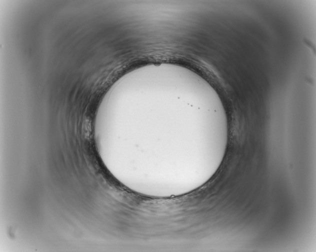 X0000101680025200807311529