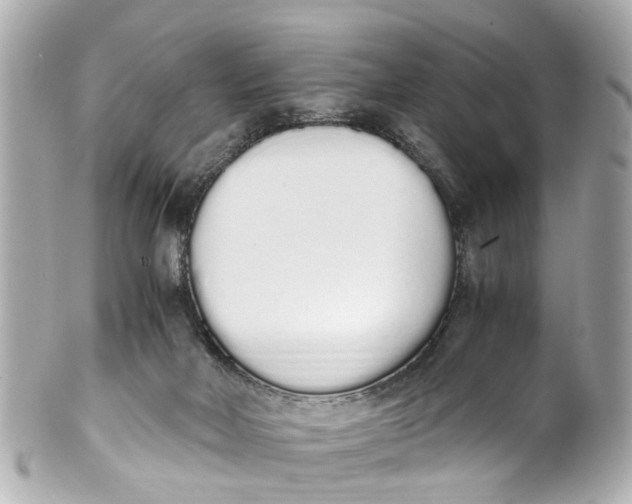 X0000101680026200807311529