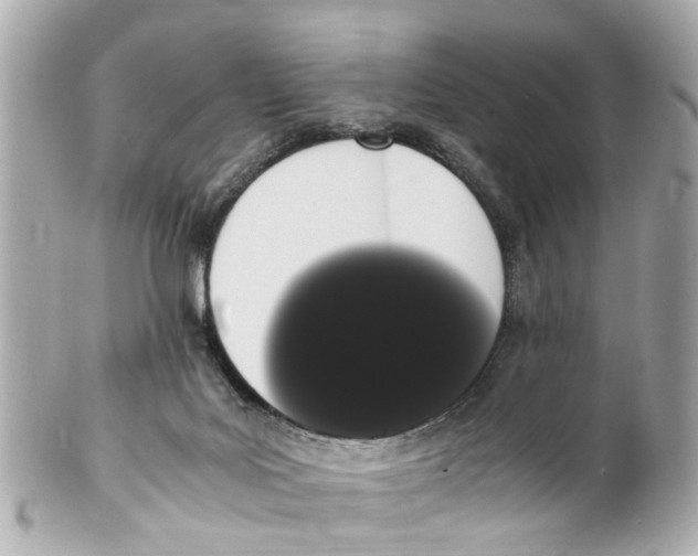 X0000101680027200807311529