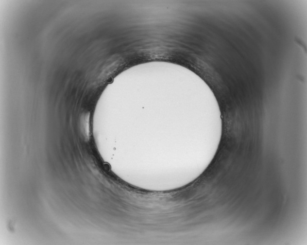 X0000101680028200807311529