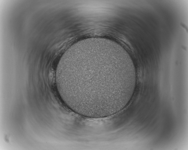 X0000101680029200807311529