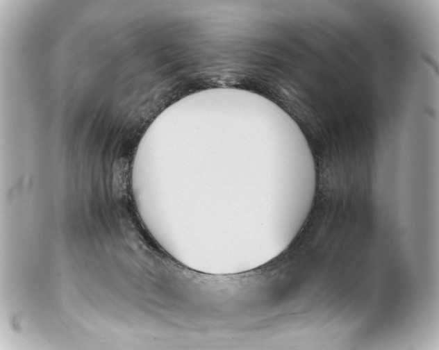 X0000101680030200807311529