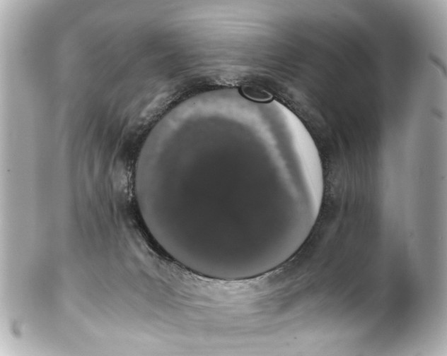 X0000101680031200807311529