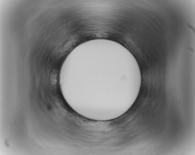 X0000101680032200807311529