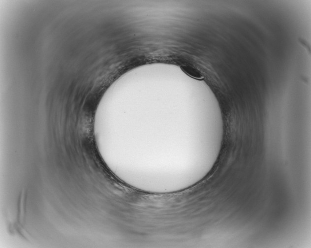 X0000101680033200807311529