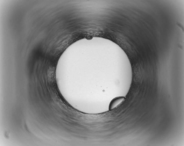 X0000101680034200807311529