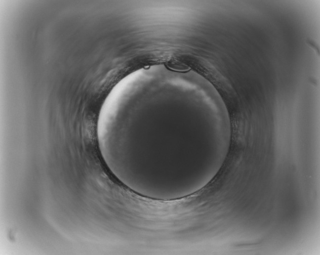 X0000101680035200807311529