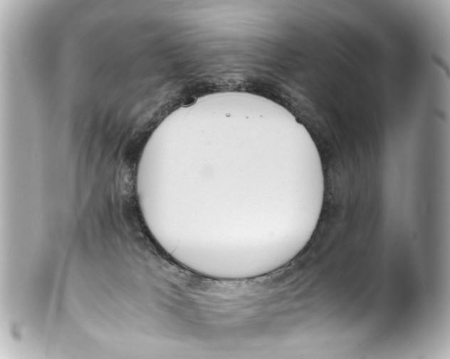 X0000101680037200807311529