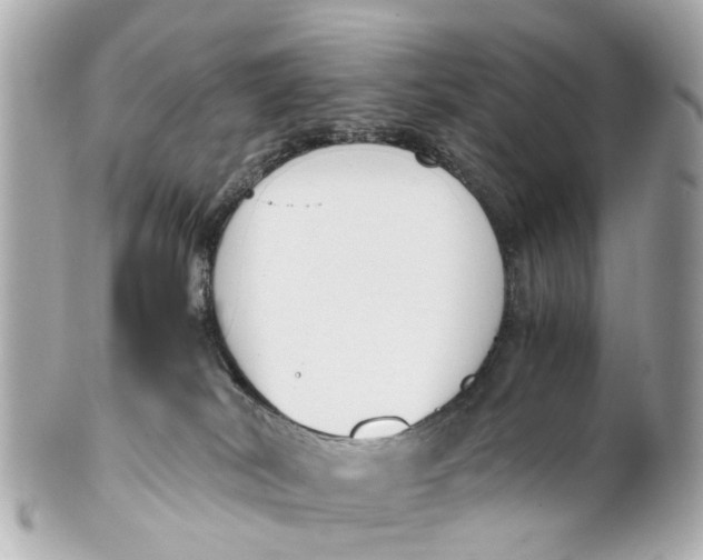 X0000101680038200807311529