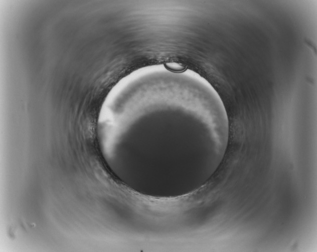 X0000101680039200807311529