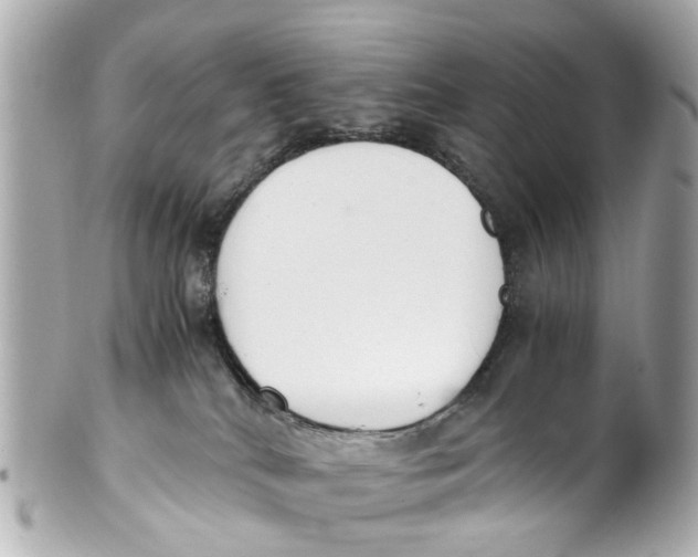 X0000101680040200807311529