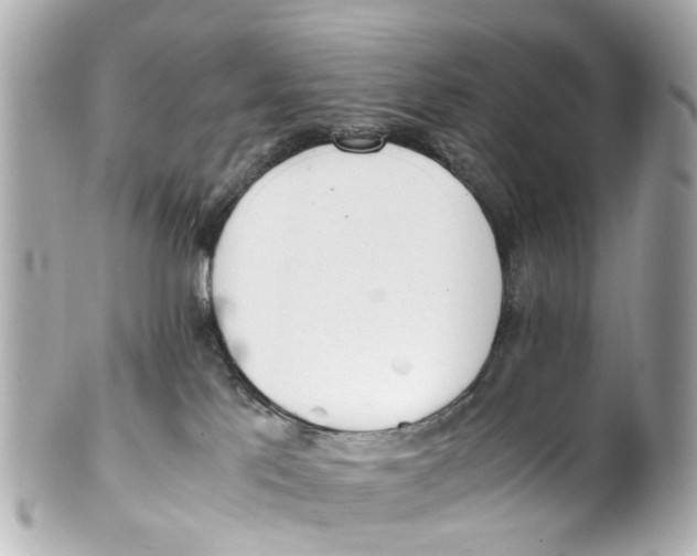 X0000101680041200807311529