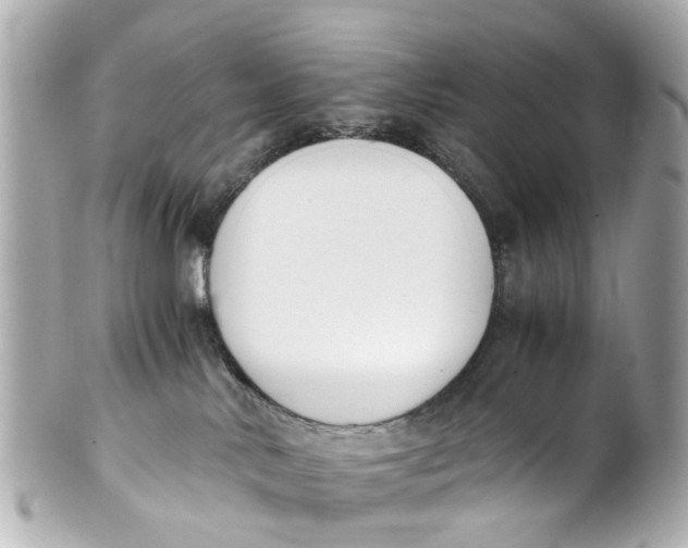 X0000101680042200807311529