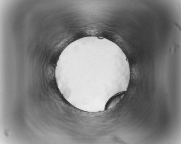 X0000101680043200807311529