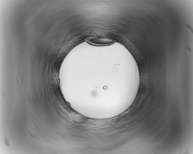 X0000101680045200807311529