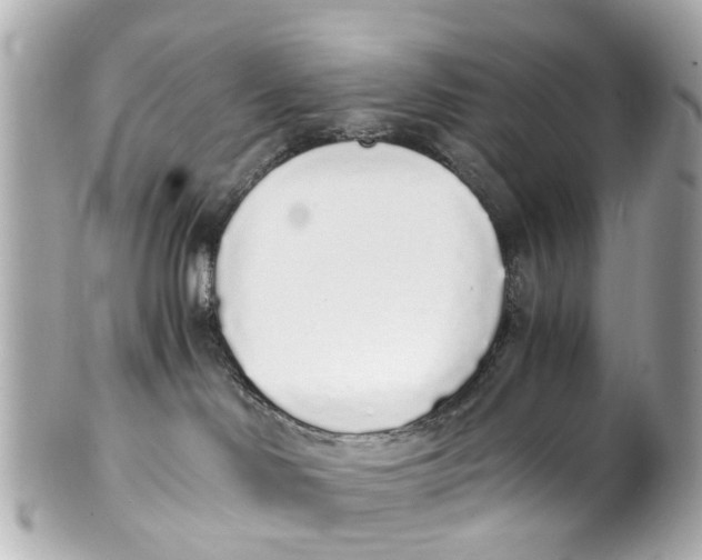 X0000101680046200807311529