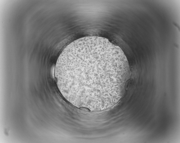 X0000101680047200807311529