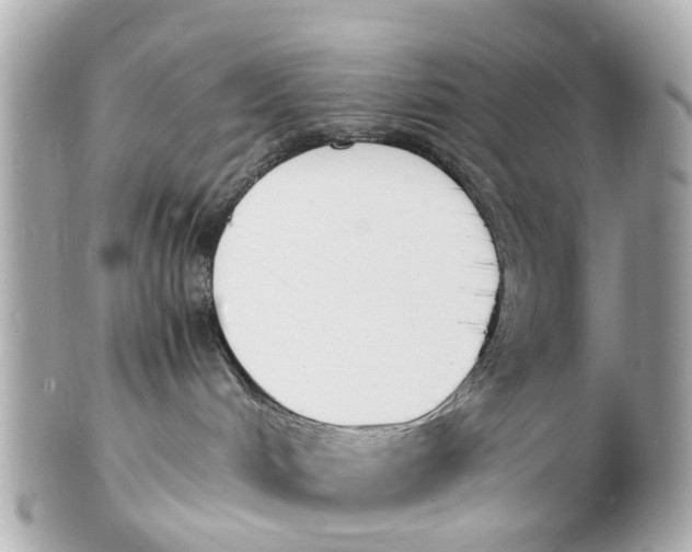 X0000101680048200807311529