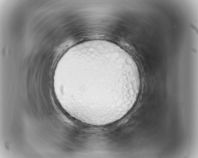 X0000101680049200807311528