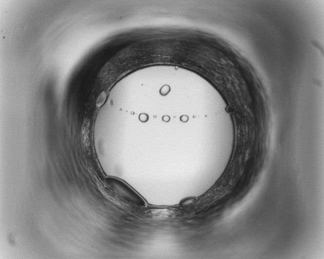 X0000101680050200807311528