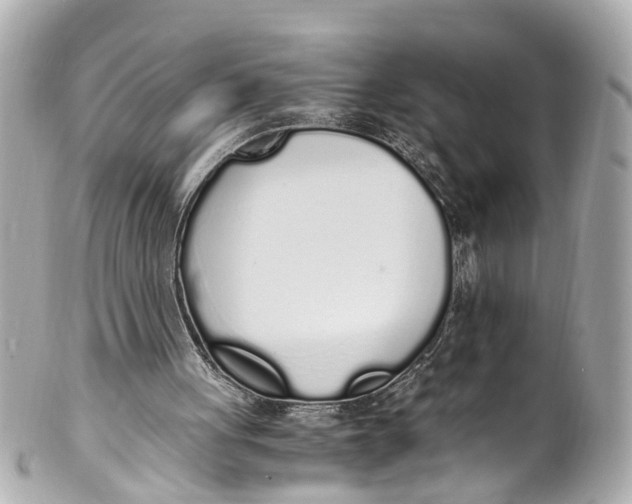 X0000101680051200807311528