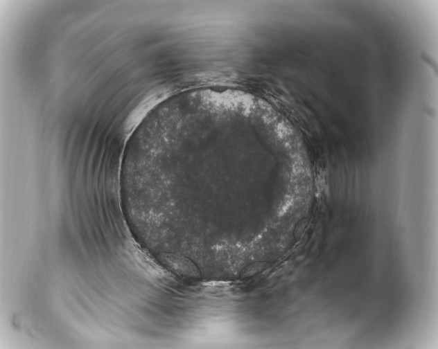 X0000101680052200807311528