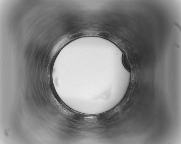 X0000101680053200807311528