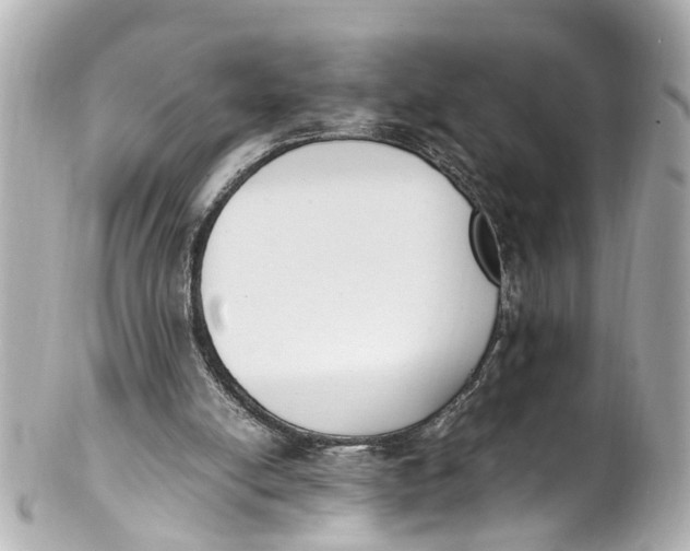 X0000101680054200807311528