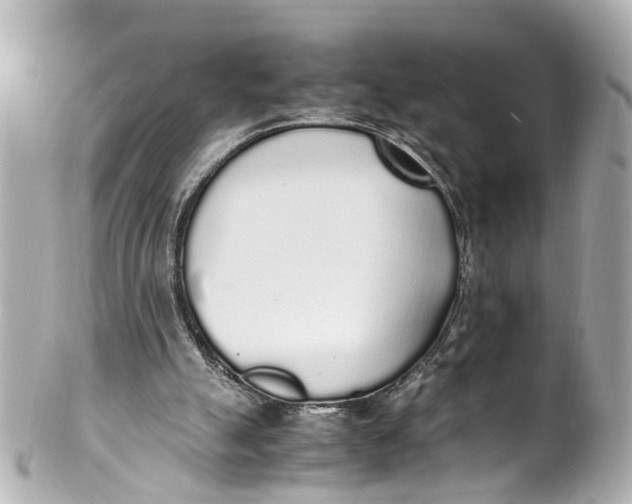 X0000101680055200807311528