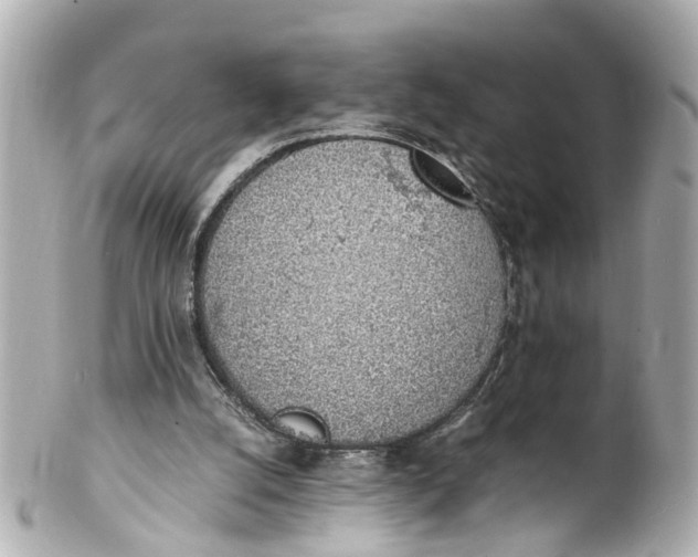 X0000101680056200807311528