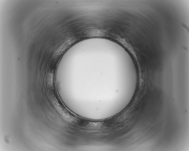 X0000101680057200807311528