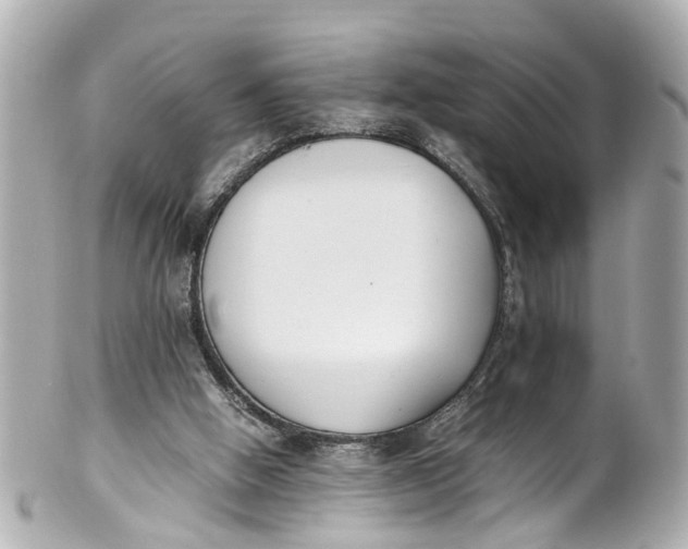 X0000101680058200807311528